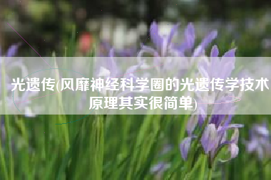 光遗传(风靡神经科学圈的光遗传学技术，原理其实很简单)