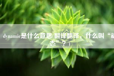 dynamic是什么意思(翻译翻译，什么叫“动态”？)