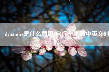 dynamics是什么意思(自行车术语中英文对照)