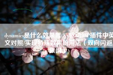 dynamics是什么效果器(Kx驱动DSP插件中英文对照/实现特殊效果的用法（双向闪避/跟唱）)