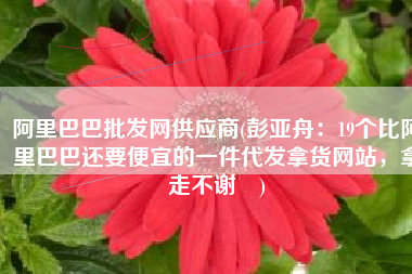 阿里巴巴批发网供应商(彭亚舟：19个比阿里巴巴还要便宜的一件代发拿货网站，拿走不谢​)