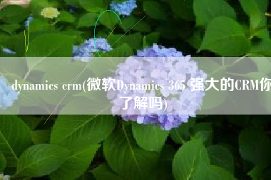 dynamics crm(微软Dynamics 365 强大的CRM你了解吗)