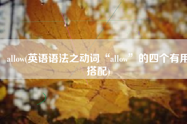 allow(英语语法之动词“allow”的四个有用搭配)