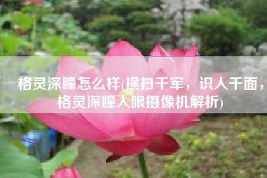 格灵深瞳怎么样(横扫千军，识人千面，格灵深瞳人眼摄像机解析)