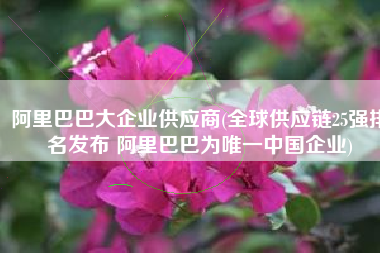阿里巴巴大企业供应商(全球供应链25强排名发布 阿里巴巴为唯一中国企业)
