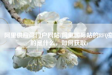 阿里供应商门户网站(阿里国际站的RFQ指的是什么，如何获取)