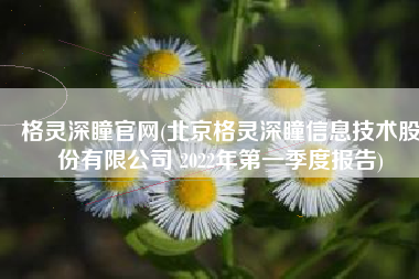 格灵深瞳官网(北京格灵深瞳信息技术股份有限公司 2022年第一季度报告)