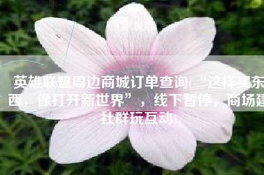 英雄联盟周边商城订单查询(“这样买东西，像打开新世界”，线下暂停，商场建社群玩互动)