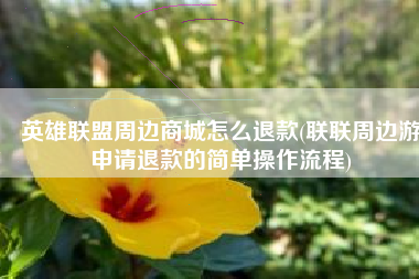 英雄联盟周边商城怎么退款(联联周边游申请退款的简单操作流程)