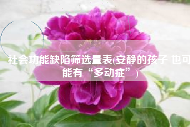 社会功能缺陷筛选量表(安静的孩子 也可能有“多动症”)