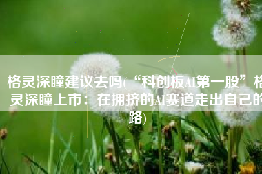 格灵深瞳建议去吗(“科创板AI第一股”格灵深瞳上市：在拥挤的AI赛道走出自己的路)