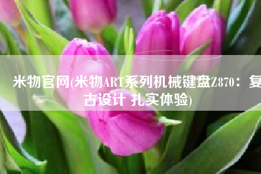 米物官网(米物ART系列机械键盘Z870：复古设计 扎实体验)