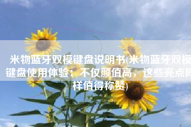 米物蓝牙双模键盘说明书(米物蓝牙双模键盘使用体验：不仅颜值高，这些亮点同样值得称赞)