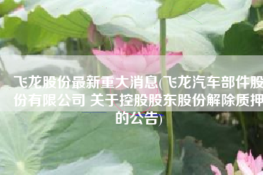 飞龙股份最新重大消息(飞龙汽车部件股份有限公司 关于控股股东股份解除质押的公告)