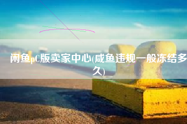 闲鱼pC版卖家中心(咸鱼违规一般冻结多久)
