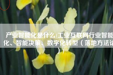 产业智能化是什么(工业互联网行业智能化、智能决策、数字化转型（落地方法论）)