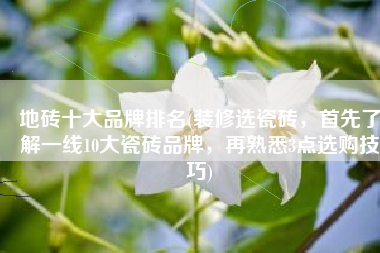地砖十大品牌排名(装修选瓷砖，首先了解一线10大瓷砖品牌，再熟悉3点选购技巧)