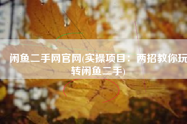 闲鱼二手网官网(实操项目：两招教你玩转闲鱼二手)