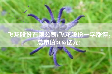飞龙股份有限公司(飞龙股份一字涨停，总市值34.65亿元)
