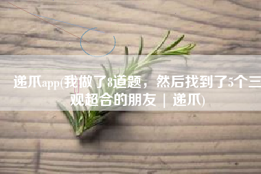 递爪app(我做了8道题，然后找到了5个三观超合的朋友 | 递爪)