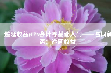 递延收益(CPA会计零基础入门——名词新语：递延收益)