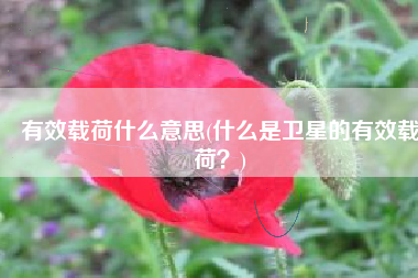 有效载荷什么意思(什么是卫星的有效载荷？)