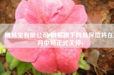 网易宝有限公司(网易旗下网易保险将在3月中旬正式关停)