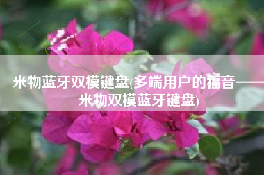 米物蓝牙双模键盘(多端用户的福音——米物双模蓝牙键盘)