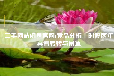 二手网站闲鱼官网(竞品分析丨时隔两年，再看转转与闲鱼)