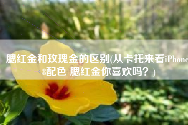 腮红金和玫瑰金的区别(从卡托来看iPhone 8配色 腮红金你喜欢吗？)
