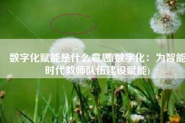 数字化赋能是什么意思(数字化：为智能时代教师队伍建设赋能)