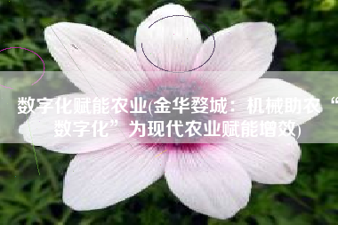 数字化赋能农业(金华婺城：机械助农“数字化”为现代农业赋能增效)