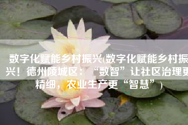 数字化赋能乡村振兴(数字化赋能乡村振兴！德州陵城区：“数智”让社区治理更精细，农业生产更“智慧”)