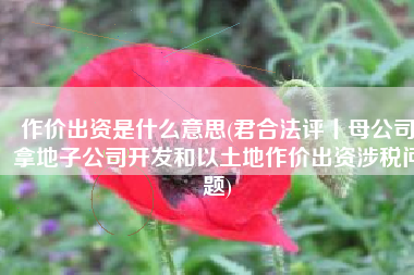 作价出资是什么意思(君合法评丨母公司拿地子公司开发和以土地作价出资涉税问题)