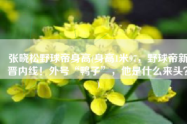 张晓松野球帝身高(身高1米97，野球帝新晋内线！外号“鸭子”，他是什么来头？)