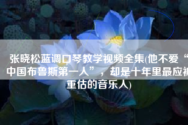 张晓松蓝调口琴教学视频全集(他不爱“中国布鲁斯第一人”，却是十年里最应被重估的音乐人)