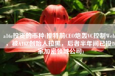 a16z投资的币种(推特前CEO炮轰VC控制Web3，被A16Z创始人拉黑，后者半年间已投16家加密领域公司)