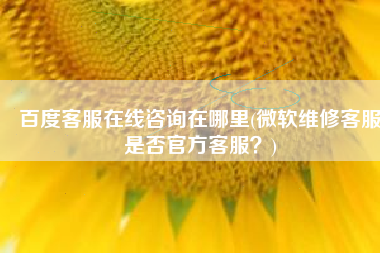 百度客服在线咨询在哪里(微软维修客服是否官方客服？)