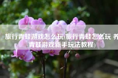 旅行青蛙游戏怎么玩(旅行青蛙怎么玩 养青蛙游戏新手玩法教程)