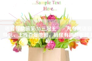 语音导航搞笑(YY三冠王囧囧丸专属语音导航，上线百度地图，搞怪有趣越听越上瘾)