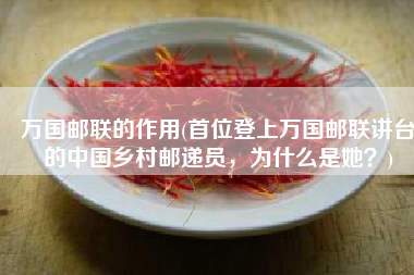 万国邮联的作用(首位登上万国邮联讲台的中国乡村邮递员，为什么是她？)