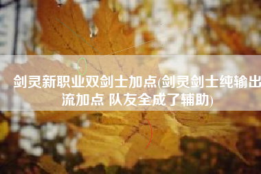 剑灵新职业双剑士加点(剑灵剑士纯输出流加点 队友全成了辅助)