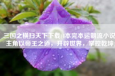 三国之横扫天下下载(4本完本运朝流小说，主角以帝王之道，开辟世界，掌控乾坤)