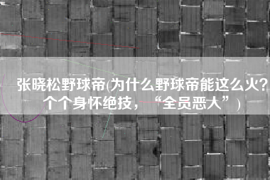 张晓松野球帝(为什么野球帝能这么火？个个身怀绝技，“全员恶人”)