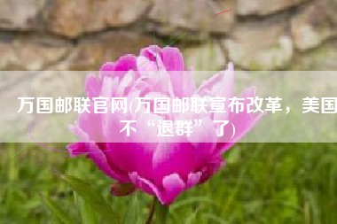 万国邮联官网(万国邮联宣布改革，美国不“退群”了)