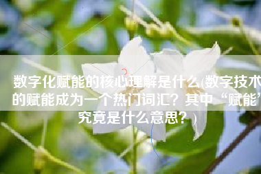 数字化赋能的核心理解是什么(数字技术的赋能成为一个热门词汇？其中“赋能”究竟是什么意思？)