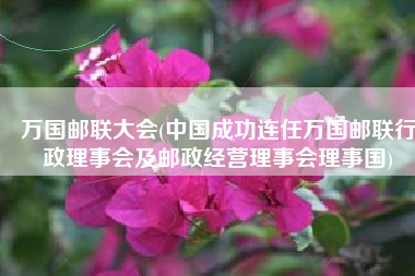 万国邮联大会(中国成功连任万国邮联行政理事会及邮政经营理事会理事国)