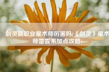 剑灵新职业星术师厉害吗(《剑灵》星术师雷霆系加点攻略)