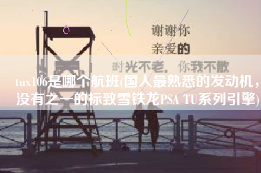 tux106是哪个航班(国人最熟悉的发动机，没有之一的标致雪铁龙PSA TU系列引擎)