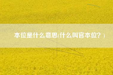 本位是什么意思(什么叫官本位？)